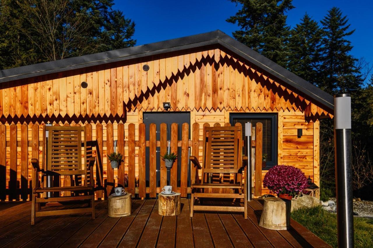 Domek Lesny Zakopane Esterno foto
