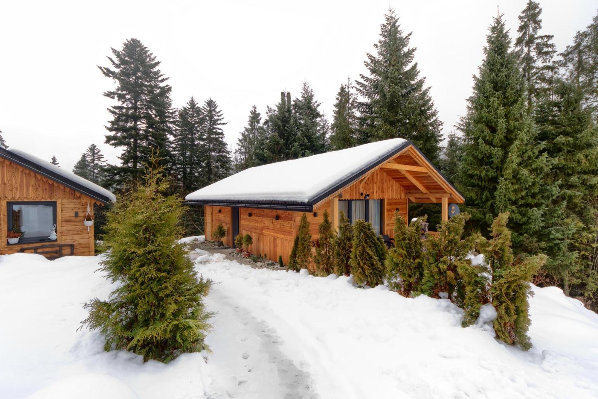 Domek Lesny Zakopane Esterno foto